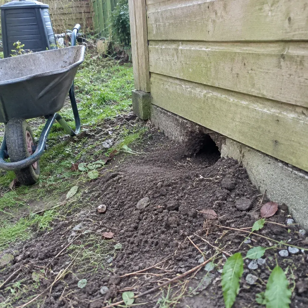 Rat Control service in Kenosha, WI