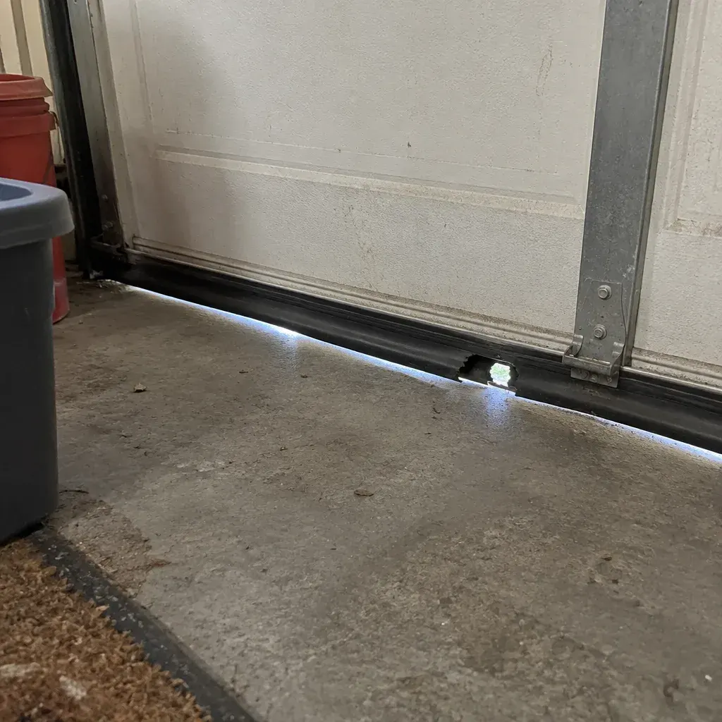 Rodent control methods in Kenosha, WI